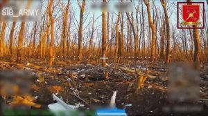 Кадры ударов операторов FPV-дронов Сибирского объединения по укрытиям с живой силой 152 оебр ВСУ