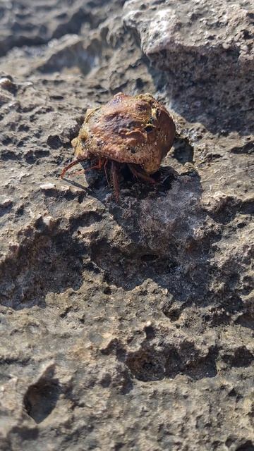 2021_08_25 снимаю дом