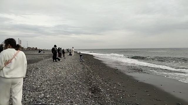 Чёрное море 15.03.2026. Пляж Чайка в Адлере.