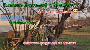 15-03-2026 Из Сибири на юг/Насыщенные выходные/Саженцы/Обед/Ужасная почва/Завалили старую/Работаем /