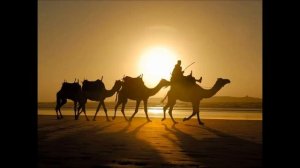 Эту песню пели в армии и во всех дворах Советского Союза "Караван"