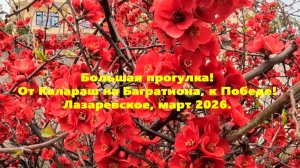 Большая прогулка! от Калараш на Багратион к Победе! Лазаревское , Март 2026.