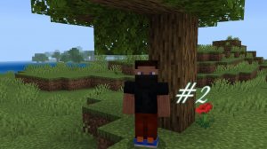 Выживание в Minecraft #2!