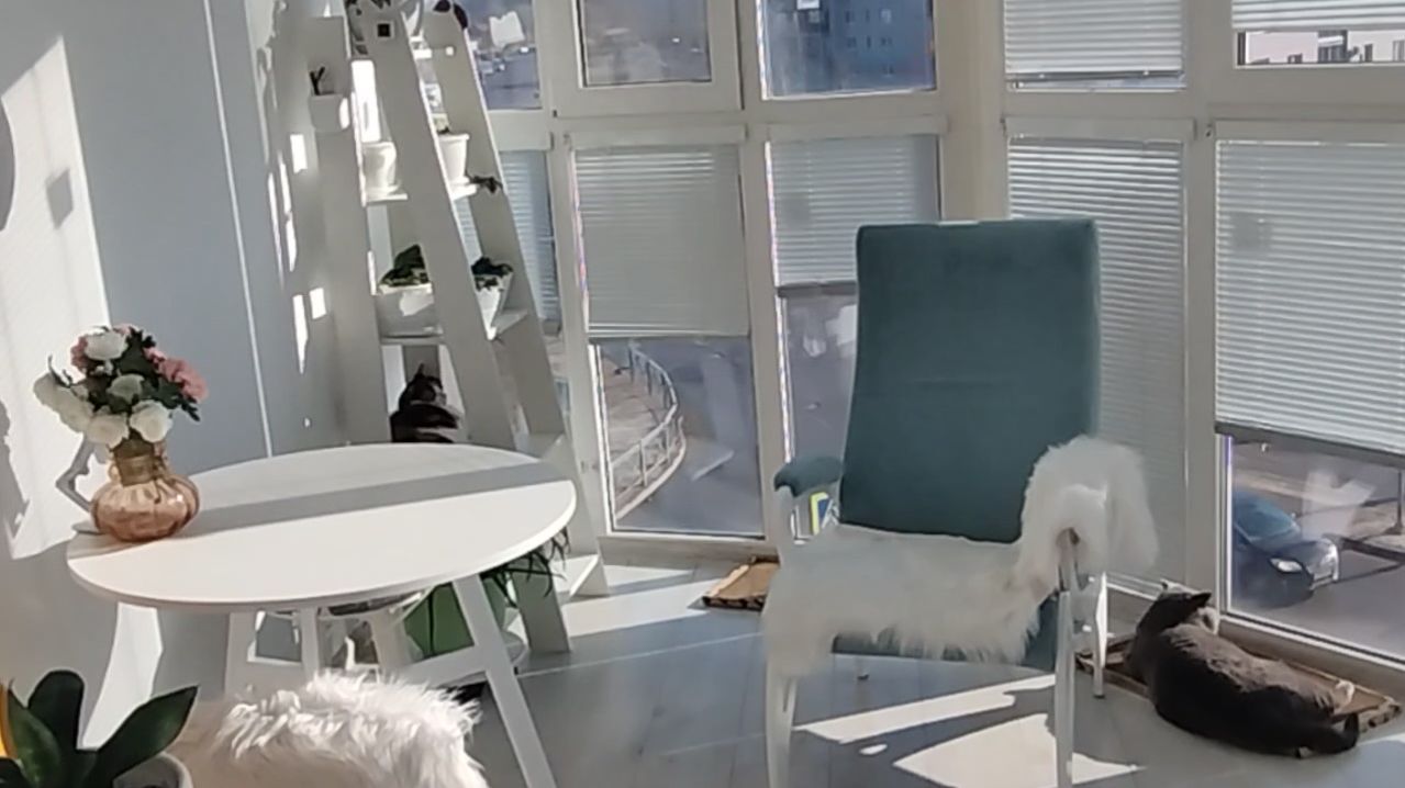 Существует ли бесплатная медицина для инвалидов/Селедочка/Закупилась/Извинились и прислали замену