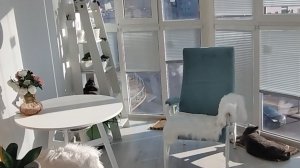 Существует ли бесплатная медицина для инвалидов/Селедочка/Закупилась/Извинились и прислали замену