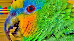 Я НЕ УСТОЯЛА! Гоша сидит такой грустный, одинокий….вообще понесла его к любимой)))