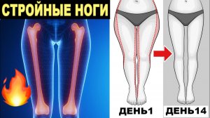 Стройные бёдра и ноги. Сжечь жир без прыжков.