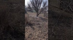 15. 03. 26  Прогулка в огород 😊🚶♀️и бла, бла.....😊😉