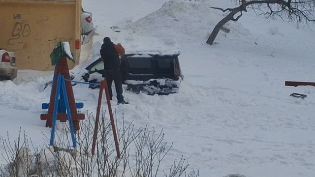 Раскопки динозавра.