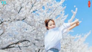 Top Hit Euro Disco 80s 2  -  HD  1080p