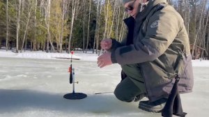 Поимка форели на малька.