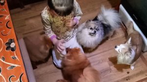 Утренние обнимашки .