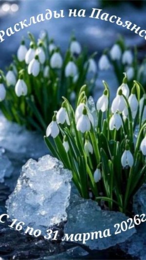 Расклады на Пасьянсе с 16 по 31 марта 2026 год