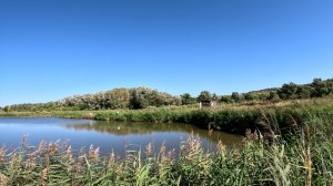 Обзор пруда на усадьбе, охота на "Норку", Выращиваю деликатесы.