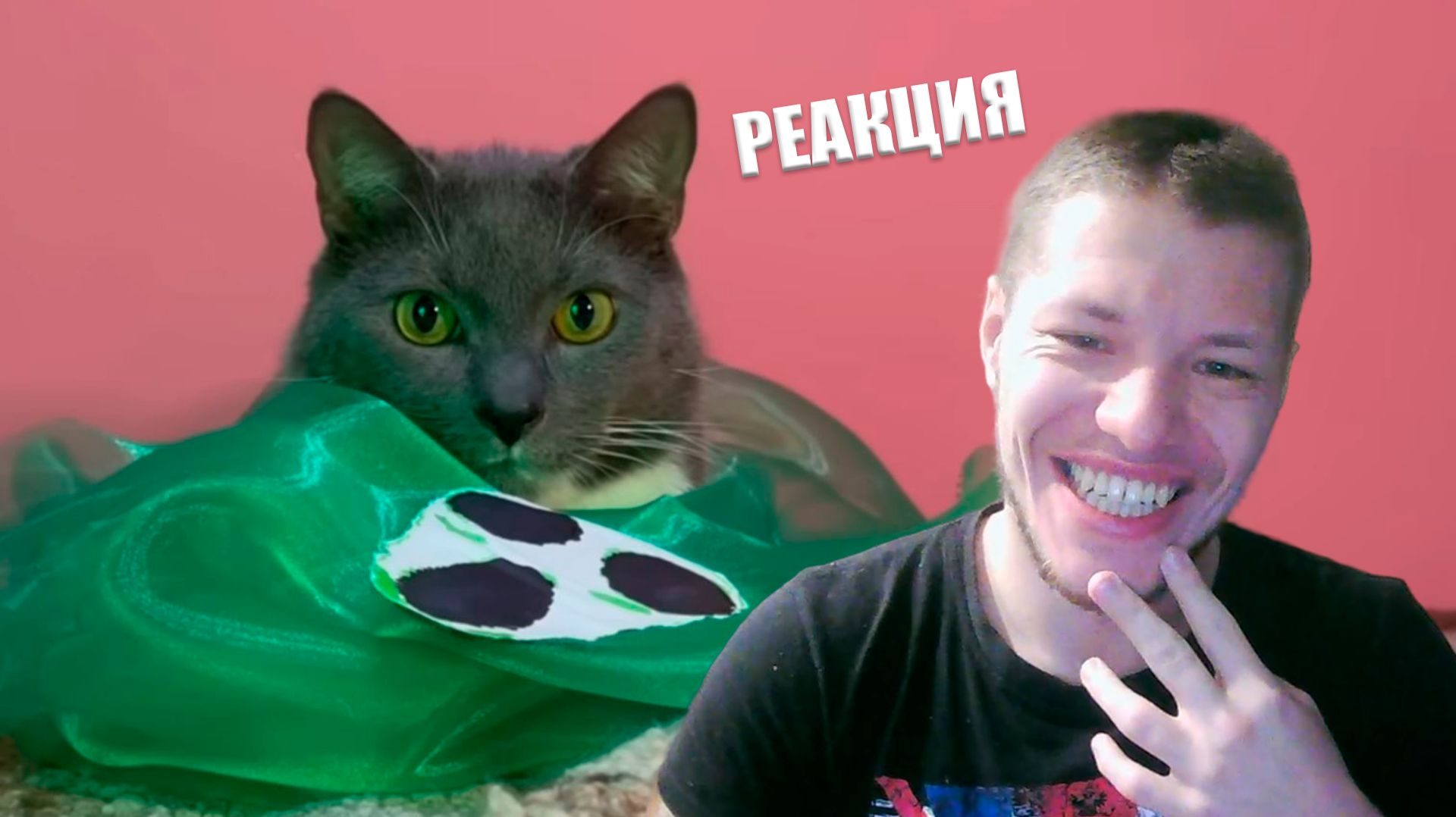 РЕАКЦИЯ: DOORS В РЕАЛЬНОЙ ЖИЗНИ - КОТИКИ В ОТЕЛЕ