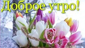 С добрым воскресным утром. Красивая музыкальная открытка.