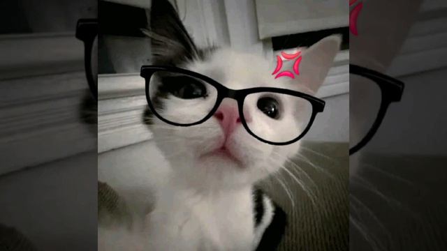 Актуальные ХИТЫ TIKTOK 2026!! | ПОПУЛЯРНЫЕ ТРЕКИ