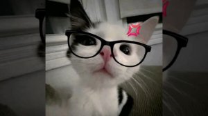 Актуальные ХИТЫ TIKTOK 2026!! | ПОПУЛЯРНЫЕ ТРЕКИ