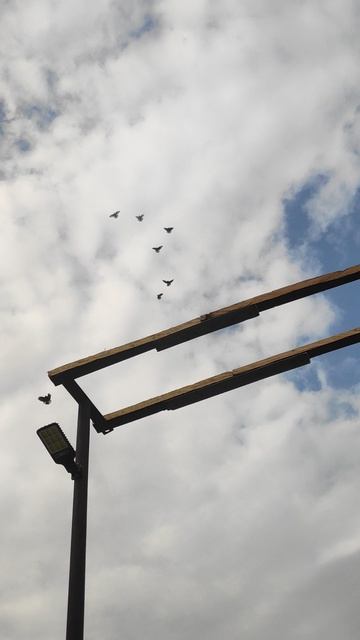 VID_20260315_090655.mp4