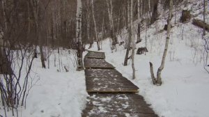 Поход к водопаду. Природный ASMR 4K / Waterfall Hike. Nature ASMR 4K