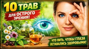 10 трав для острого зрения: что пить, чтобы глаза оставались здоровыми