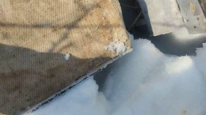 Как я пчел проверял.