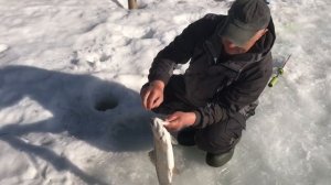 поимка форели на пасту