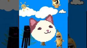 lv_0_20260315121931.mp4