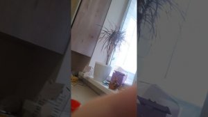 а сегодня без паданя телефона🤣🤣🤣