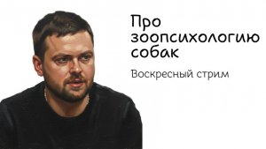 Воскресный стрим