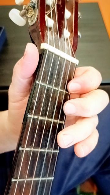 Наполеоне Косте  1805–1883) —