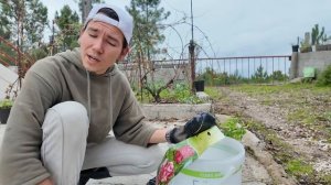 Вернулся домой в Португалию! СЕЗОН ЦИТРУСОВЫХ ОТКРЫТ! Навестил соседей (Дом в Португалии). Выпуск 48