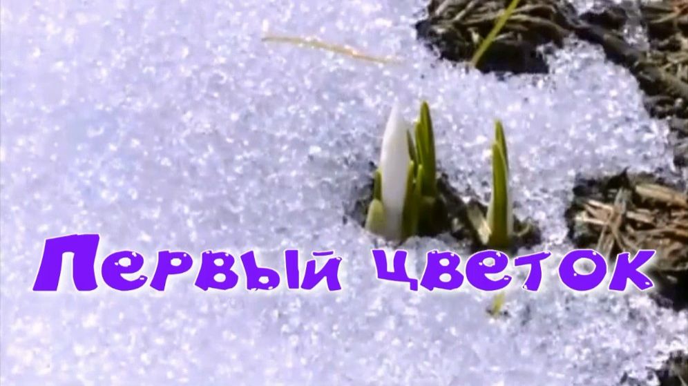 Первый цветок. Стихи, монтаж и генерация звука в ИИ - Е.Доставалов