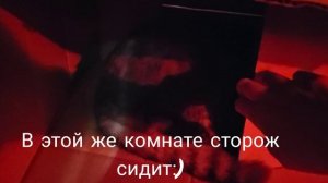 партия новых перепелят, цветник на подоконнике и кот Никифор в середине марта 2026г