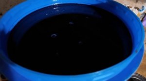 Первая обрезка винограда в Португалии. Спасаю тонны цитрусовых (Дом в Португалии). Выпуск 52