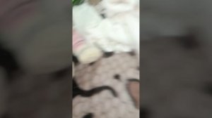 влог с мией у бабушки домой