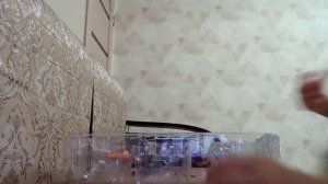 набор зомби против ростений