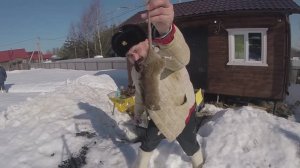 Деревня Соснино (шашлыки)