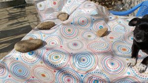 Нас ждут мы приехали домой