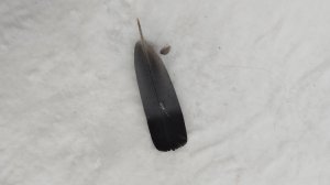 Блогерские Игры