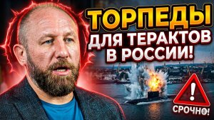 НОВОСТИ РУССКОЙ ОБЩИНЫ: Торпеды для терактов в россии! #россия #важное