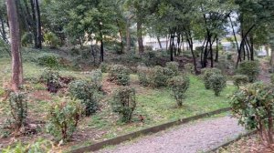 🇭🇷🇭🇷Ловран. 🇭🇷🇭🇷 Хорватия 🇭🇷🇭🇷