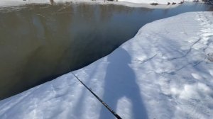 Спининнг с берега весной / Ловля щуки на джерки / Первый выход 2026