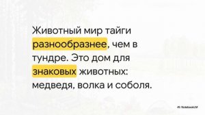 География 8 класс параграф 46 Лесные зоны краткий пересказ