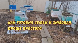 пчеловодство как готовил семьи и зимовал проще простого да 2024