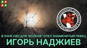 ИГОРЬ НАДЖИЕВ. Выступление в зоне СВО для ДРШБ "Волки" (Official Video)