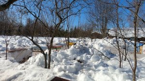 Открытие пчеловодческого сезона #деревня #пасека #март #снег #облет