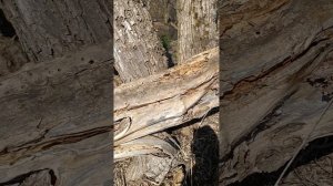 Уборка территории.