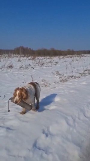 учись студент))
