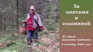 За опятами и солониной! Дневник грибника 4 сентября 2020 года.